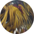 Øyeblikksbilde 25 (26.08.2014 08-25).png