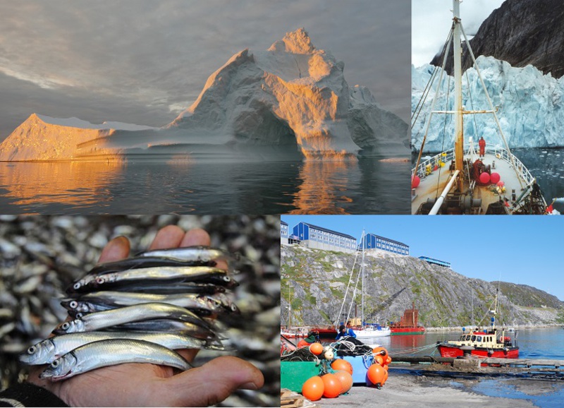 Climate changes affect fisheries - Møreforsking AS